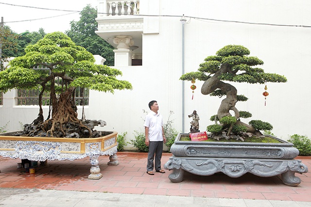 Vườn cây nghệ thuật di sản 300 tỷ đồng độc nhất vô nhị tại Việt Nam - 5