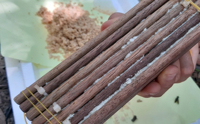 Kỹ sư bỏ việc về quê nuôi ruồi, thu nhập hàng chục triệu đồng mỗi tháng - 4 Kỹ sư bỏ việc về quê nuôi ruồi, thu nhập hàng chục triệu đồng mỗi tháng - 4
