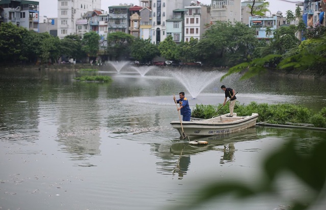 Hà Nội: Cá chết nổi trắng hồ Văn Chương, dân sống quanh hồ không dám... thở - 4