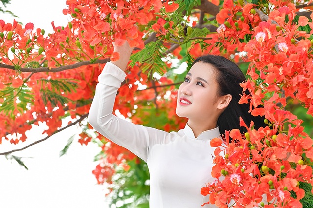 Cô gái xinh đẹp thả hồn trên con đường hoa phượng đỏ Hải Phòng - 14