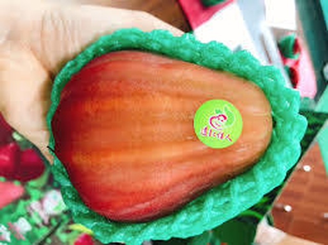 80 ngàn đồng/con gà nướng Trung Quốc; Quả đu đủ Nhật nhỏ xíu giá 1 triệu đồng/kg - 4 80 ngàn đồng/con gà nướng Trung Quốc; Quả đu đủ Nhật nhỏ xíu giá 1 triệu đồng/kg - 4