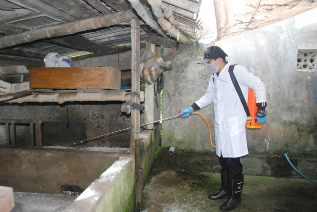 Quảng Trị tiêu hủy hàng trăm con lợn, Đắk Lắk xuất hiện thêm các ổ dịch mới - 1 Quảng Trị tiêu hủy hàng trăm con lợn, Đắk Lắk xuất hiện thêm các ổ dịch mới - 1