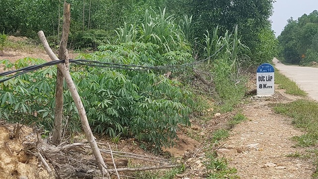 Hiểm họa từ những cột điện có một không hai tại Hà Tĩnh - 1 Hiểm họa từ những cột điện có một không hai tại Hà Tĩnh - 1