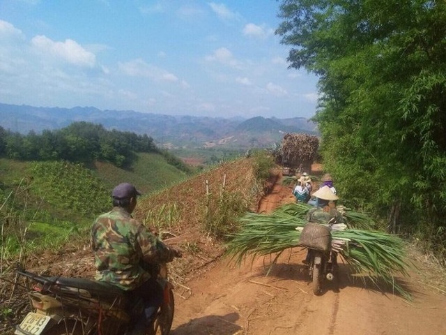 Không có biện pháp bảo vệ ngành mía đường, hàng triệu lao động, hộ dân có nguy cơ tái nghèo - 2 Không có biện pháp bảo vệ ngành mía đường, hàng triệu lao động, hộ dân có nguy cơ tái nghèo - 2