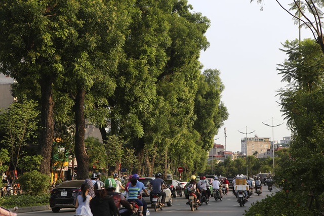 Những dải phân cách xanh mướt bóng cây ở Hà Nội - 10 Những dải phân cách xanh mướt bóng cây ở Hà Nội - 10