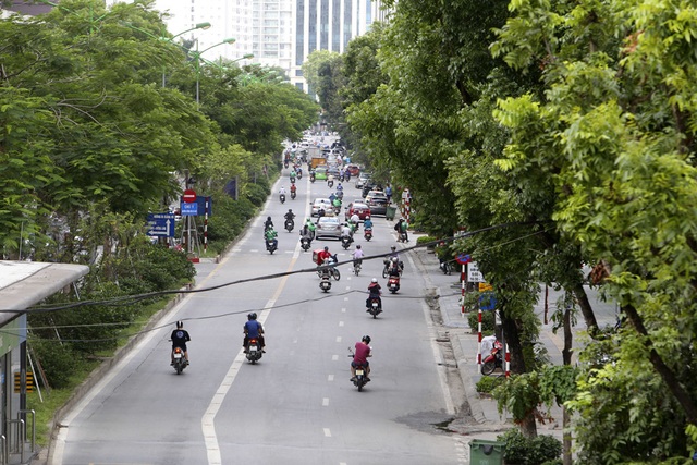 Những dải phân cách xanh mướt bóng cây ở Hà Nội - 12 Những dải phân cách xanh mướt bóng cây ở Hà Nội - 12