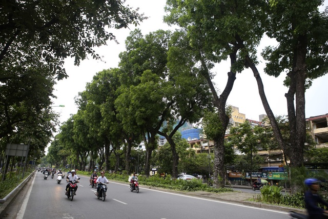 Những dải phân cách xanh mướt bóng cây ở Hà Nội - 13 Những dải phân cách xanh mướt bóng cây ở Hà Nội - 13
