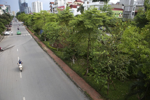 Những dải phân cách xanh mướt bóng cây ở Hà Nội - 8 Những dải phân cách xanh mướt bóng cây ở Hà Nội - 8