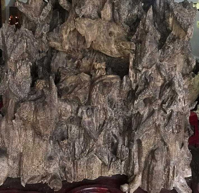 Lặn lội hơn 20 năm, đại gia Hà thành tốn hàng đống tiền để có bộ sưu tập từ gỗ trầm lũa - 15 Lặn lội hơn 20 năm, đại gia Hà thành tốn hàng đống tiền để có bộ sưu tập từ gỗ trầm lũa - 15