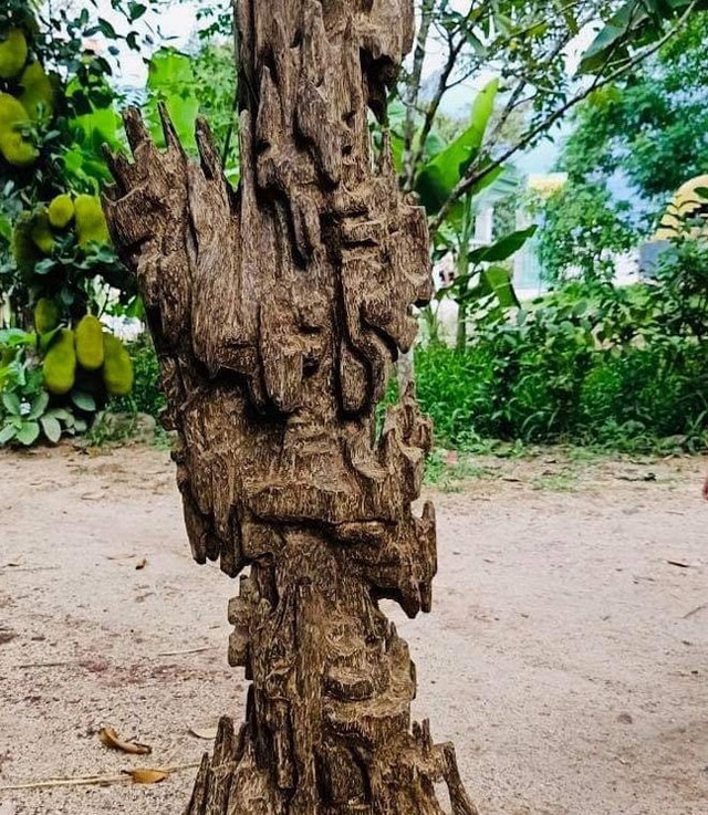 Lặn lội hơn 20 năm, đại gia Hà thành tốn hàng đống tiền để có bộ sưu tập từ gỗ trầm lũa - 8 Lặn lội hơn 20 năm, đại gia Hà thành tốn hàng đống tiền để có bộ sưu tập từ gỗ trầm lũa - 8