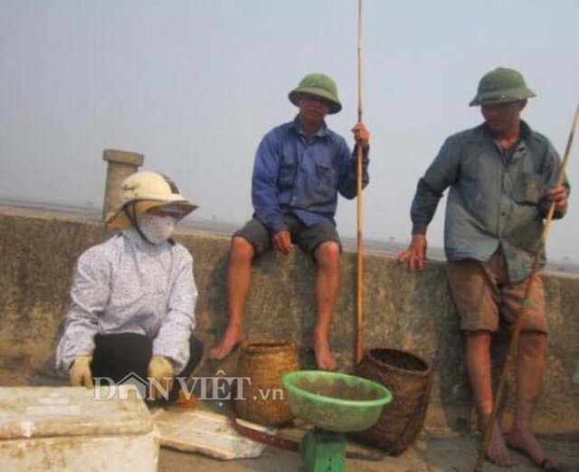 Độc lạ: Không cần mồi, loài cá kỳ lạ này vẫn phi vào giỏ ầm ầm - 2 Độc lạ: Không cần mồi, loài cá kỳ lạ này vẫn phi vào giỏ ầm ầm - 2
