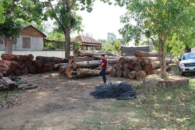 Hàng loạt cán bộ kiểm lâm “dính chàm” vì trùm gỗ lậu Phượng “râu” - 3