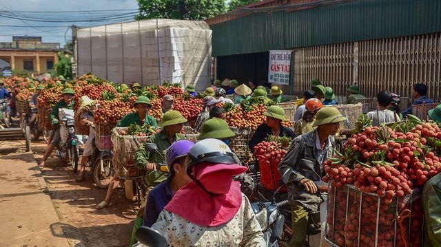 Ông Đoàn Ngọc Hải từ chức; Phá đường dây xăng giả 3.000 tỷ đồng - 2 Ông Đoàn Ngọc Hải từ chức; Phá đường dây xăng giả 3.000 tỷ đồng - 2