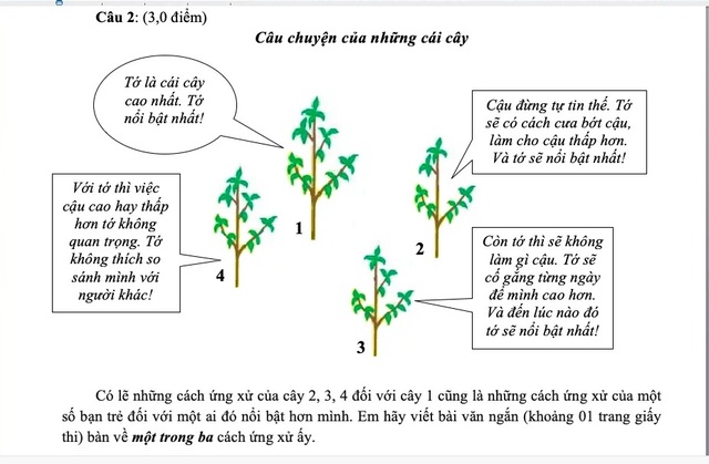 Chấm thi lớp 10 ở TPHCM: Điểm Toán thấp, giáo viên cũng “sốt ruột” - 2