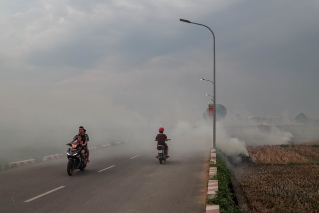 Nhiều tuyến đường ngoại thành Hà Nội mù mịt khói rơm rạ - 11 Nhiều tuyến đường ngoại thành Hà Nội mù mịt khói rơm rạ - 11