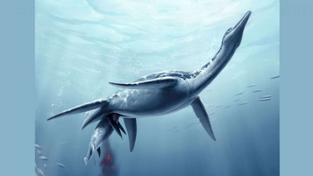 Phát hiện hóa thạch khủng long giống quái vật hồ Loch Ness ngoài đời thực - 1 Phát hiện hóa thạch khủng long giống quái vật hồ Loch Ness ngoài đời thực - 1