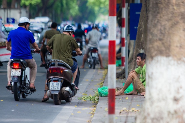 “Người nhện” đu mình trên cây hái sấu non, kiếm bạc triệu ngày - 10 “Người nhện” đu mình trên cây hái sấu non, kiếm bạc triệu ngày - 10