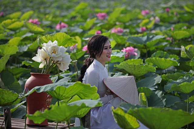 Nắng cháy da, U60 dầm mình dưới đầm sen tạo dáng - 9 Nắng cháy da, U60 dầm mình dưới đầm sen tạo dáng - 9