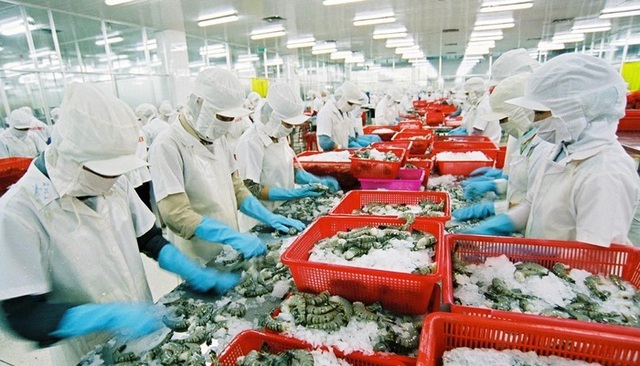 Xuất khẩu thuỷ sản mang về 9 tỷ USD, ngành tôm đóng góp tới 40% - 1 Xuất khẩu thuỷ sản mang về 9 tỷ USD, ngành tôm đóng góp tới 40% - 1