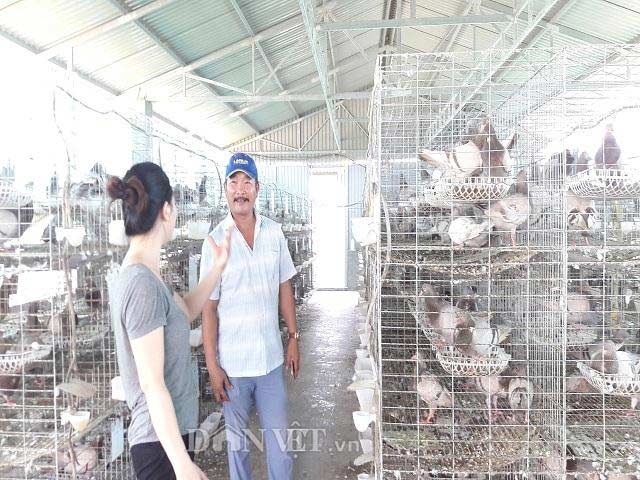 Hà Tĩnh: Xây lầu cho chim ở, mỗi tháng bỏ túi hơn 20 triệu đồng. - 4 Hà Tĩnh: Xây lầu cho chim ở, mỗi tháng bỏ túi hơn 20 triệu đồng. - 4