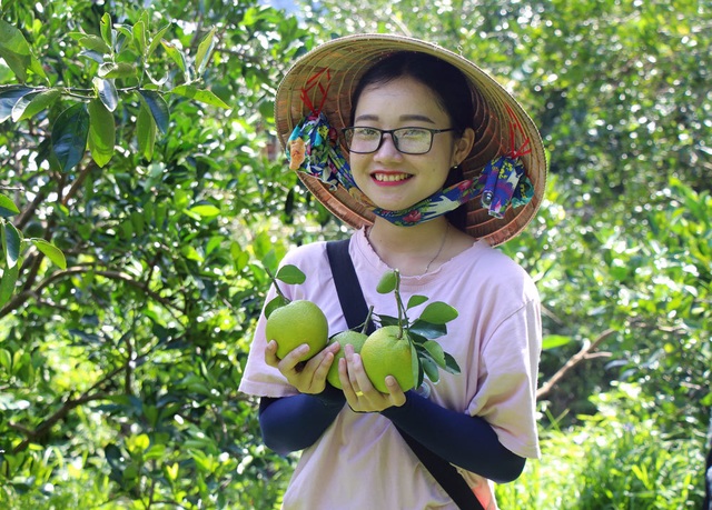 Độc nhất miền Tây: Vườn cam ruột đỏ au, không hề có hạt - 6 Độc nhất miền Tây: Vườn cam ruột đỏ au, không hề có hạt - 6