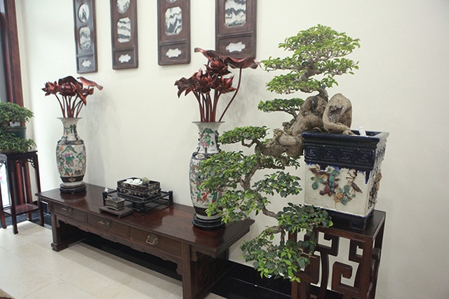 Bộ sưu tập bonsai tiền tỷ và đồ chơi VIP của giới nhà giàu Việt - 12