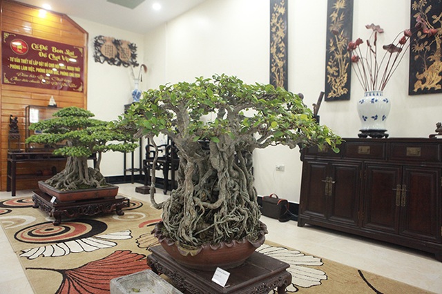 Bộ sưu tập bonsai tiền tỷ và đồ chơi VIP của giới nhà giàu Việt - 13