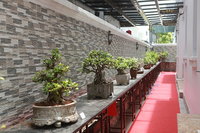 Bộ sưu tập bonsai tiền tỷ và đồ chơi VIP của giới nhà giàu Việt - 17