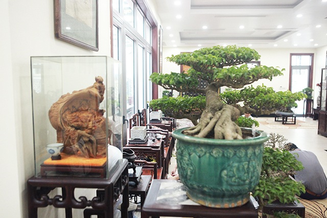 Bộ sưu tập bonsai tiền tỷ và đồ chơi VIP của giới nhà giàu Việt - 3