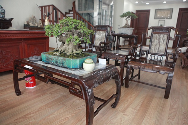 Bộ sưu tập bonsai tiền tỷ và đồ chơi VIP của giới nhà giàu Việt - 9