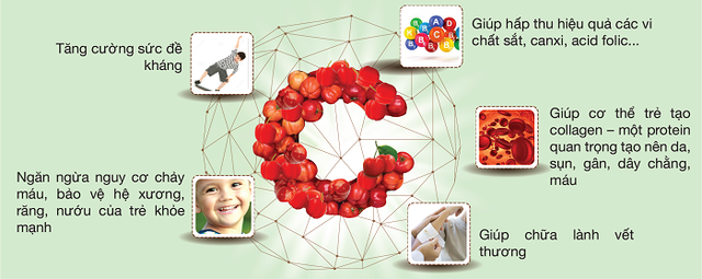CNattu kids từ Vitamin C tự nhiên và Rutin tự nhiên có công dụng như thế nào? - 1 CNattu kids từ Vitamin C tự nhiên và Rutin tự nhiên có công dụng như thế nào? - 1