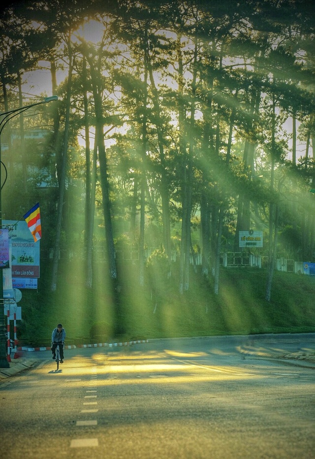 Đà Lạt đẹp buồn, ma mị trong góc nhìn của cô gái thất tình - 8 Đà Lạt đẹp buồn, ma mị trong góc nhìn của cô gái thất tình - 8