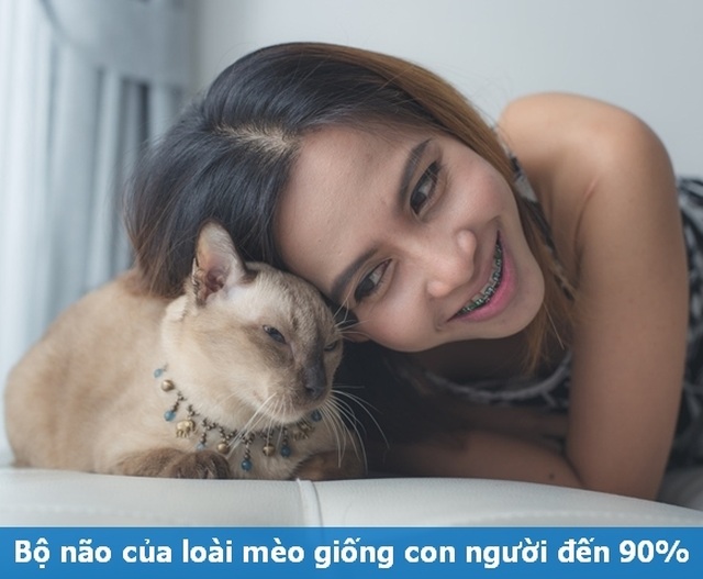 Những “Fun Facts” sẽ khiến bạn phải bất ngờ về thú cưng của mình! - 4 Những “Fun Facts” sẽ khiến bạn phải bất ngờ về thú cưng của mình! - 4