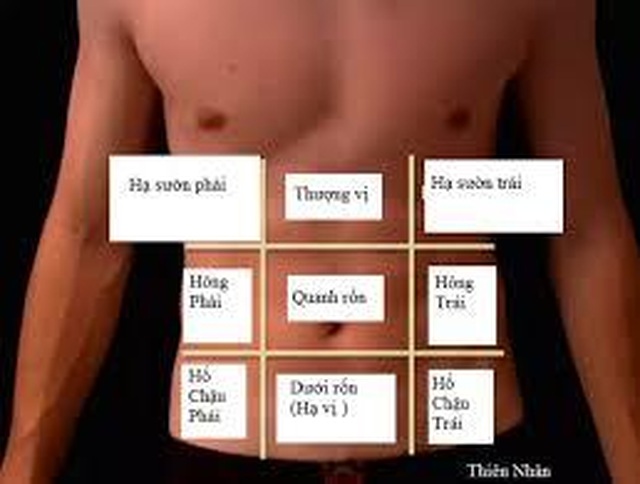  What are the nine regions on the abdominal wall referred to as in Vietnamese?