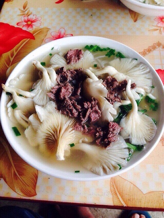 Cất bằng kỹ sư công nghệ thông tin, về núi trồng nấm thành tỷ phú - 1 Cất bằng kỹ sư công nghệ thông tin, về núi trồng nấm thành tỷ phú - 1