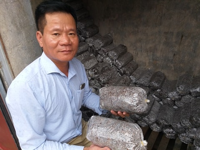 Cất bằng kỹ sư công nghệ thông tin, về núi trồng nấm thành tỷ phú - 3 Cất bằng kỹ sư công nghệ thông tin, về núi trồng nấm thành tỷ phú - 3