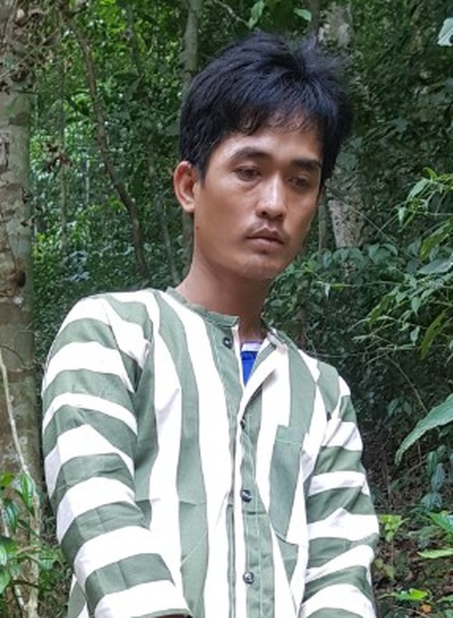 Cận cảnh cánh rừng Kbang bị tàn phá “ngổn ngang”! - 6 Cận cảnh cánh rừng Kbang bị tàn phá “ngổn ngang”! - 6