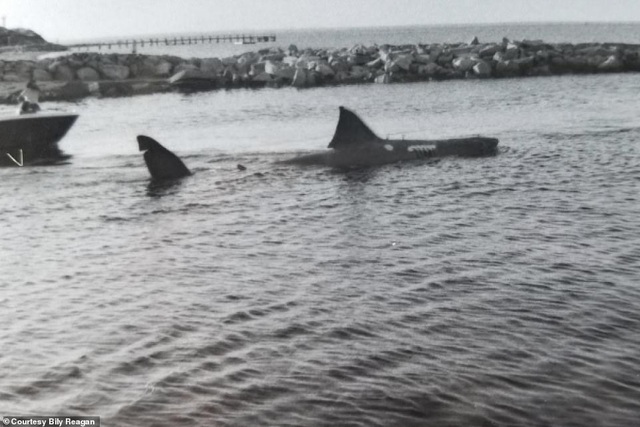Một số bức ảnh lần đầu công bố về phim trường “Hàm cá mập” - Ảnh minh hoạ 3