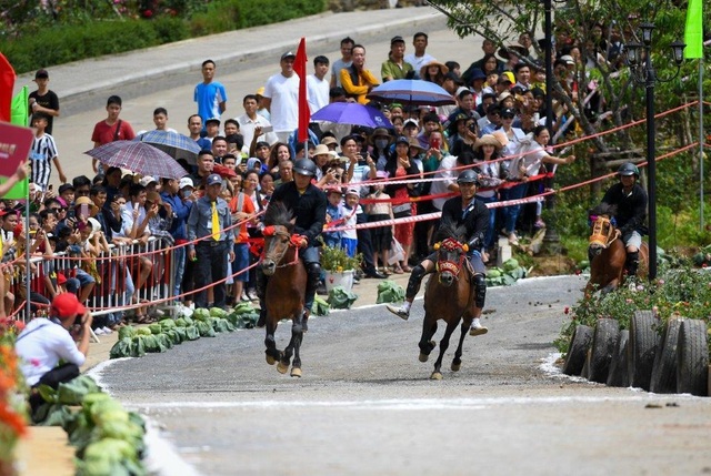 Hàng ngàn du khách đổ về Sa Pa tham dự lễ hội đua ngựa Vó ngựa trên mây - 1 Hàng ngàn du khách đổ về Sa Pa tham dự lễ hội đua ngựa Vó ngựa trên mây - 1