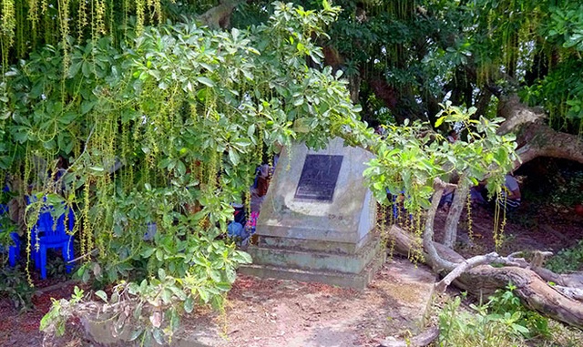 Gò lộc vừng ngàn năm tuổi độc nhất vô nhị ở Việt Nam - 1 Gò lộc vừng ngàn năm tuổi độc nhất vô nhị ở Việt Nam - 1