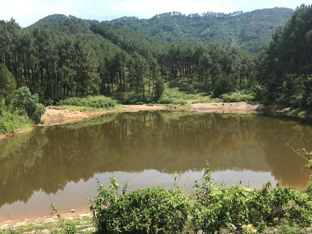 Đập nước dự phòng chết mòn, rừng thông quanh khu di tích rơi vào “báo động đỏ”? - 1 Đập nước dự phòng chết mòn, rừng thông quanh khu di tích rơi vào “báo động đỏ”? - 1