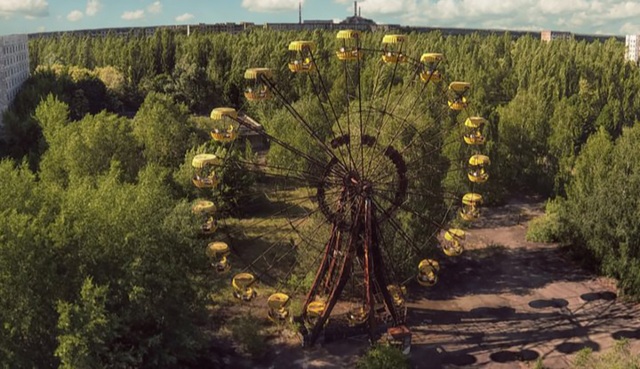 Vì sao thực vật vẫn phát triển tốt ở khu vực thảm hoạ Chernobyl? - 1 Vì sao thực vật vẫn phát triển tốt ở khu vực thảm hoạ Chernobyl? - 1