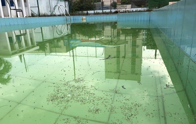 Hai học sinh chết đuối trong hồ bơi khách sạn: Ai chịu trách nhiệm? - 2 Hai học sinh chết đuối trong hồ bơi khách sạn: Ai chịu trách nhiệm? - 2