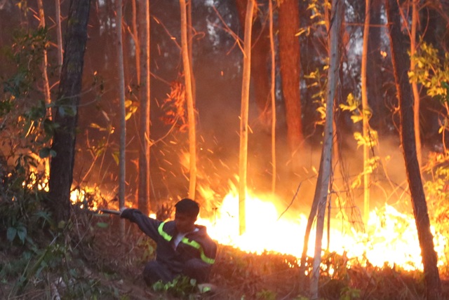Hàng trăm người căng mình chữa cháy ở khu rừng cuồn cuộn lửa trong đêm - 2