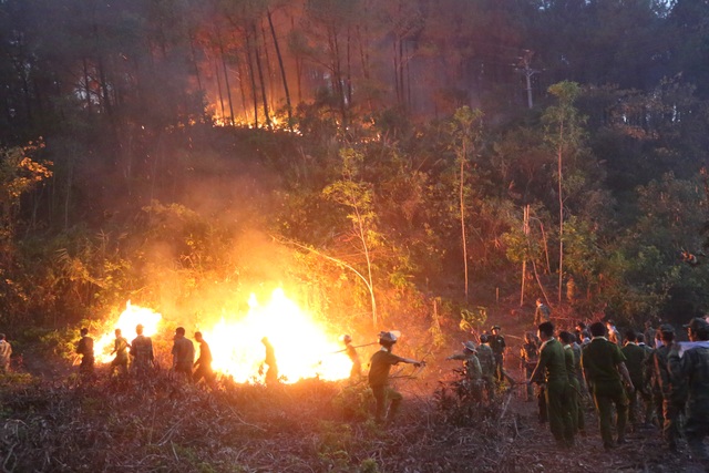 Hàng trăm người căng mình chữa cháy ở khu rừng cuồn cuộn lửa trong đêm - 7