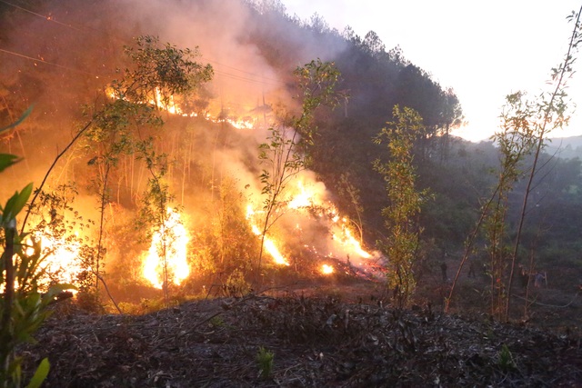 Hàng trăm người căng mình chữa cháy ở khu rừng cuồn cuộn lửa trong đêm - 6