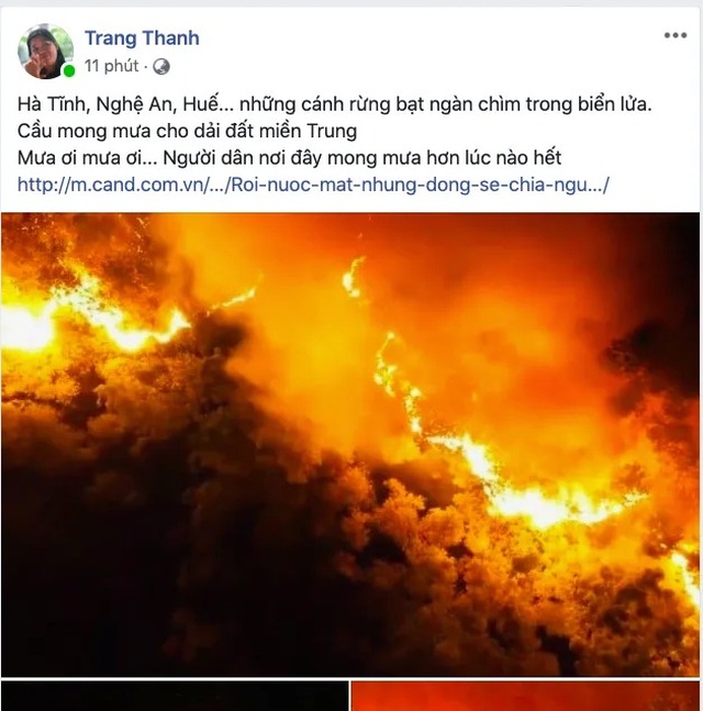 Khóc cùng bài thơ Rừng ơi, đừng cháy nữa! của cô giáo dạy Sử - 3 Khóc cùng bài thơ Rừng ơi, đừng cháy nữa! của cô giáo dạy Sử - 3