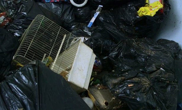Hình ảnh gây sốc trong căn nhà 5 năm không đổ rác được lột xác - Ảnh minh hoạ 4