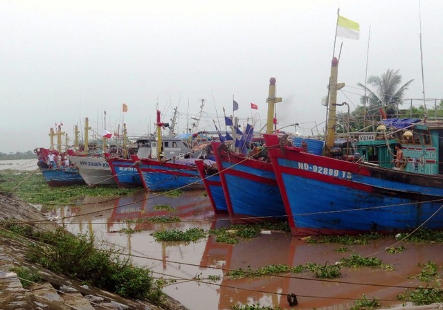 Bão số 2: Cô Tô mất điện, Bạch Long Vỹ đã có gió mạnh, nhiều nơi cấm biển - 4 Bão số 2: Cô Tô mất điện, Bạch Long Vỹ đã có gió mạnh, nhiều nơi cấm biển - 4