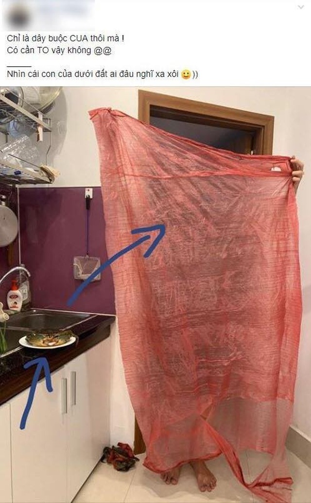 Mua cua giá hời, chàng trai ngã ngửa mớ dây buộc dài như áo mưa - 1 Mua cua giá hời, chàng trai ngã ngửa mớ dây buộc dài như áo mưa - 1